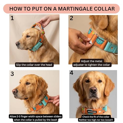 Image of Dog-O-Bow Hot Air Balloon Print Martingale Dog Collar, Durable, Comfortable & Adjustable Training Collar (Medium)