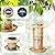 XDW-GIFTS Bird Feeder for Outdoors Solar Hanging Bird Feeder Bird House with Cardinal Feeder Large Capacity Metal Wild Bird Feeder for Garden Decor Unique Gifts & Patio Decor (Bronze, 10.5 INCH)