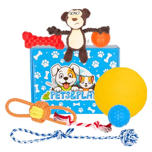 Pets & Play Gemischtes Hundespielzeug-Set für den Außenbereich, 8-teiliges Set mit Frisbee, Bällen, Seilspielzeug, quietschendem Plüsch, Gummiknochen, langlebiges Sommerspiel für kleine – große Hunde