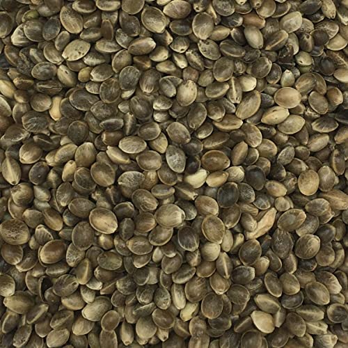 Hanfsaat mittel - Gladen 2,5kg