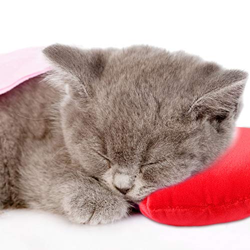 3 Pieces Valentine Heart Plush Hanging Heart Throw Pillows Plush Heart Cushion Plush Symbol Figure Accessories For Valentine's Day, Living Room, Office (Red) #TOP3