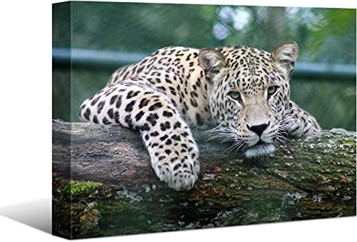 Laoife Animal Canvas Wall Art, Cheetah Picture Canvas Painting, Wildlife Digital Art, Colorful Ready to Hang for Living Room Bedroom Office Wall Decor Home Decor (16x12 Inches)
