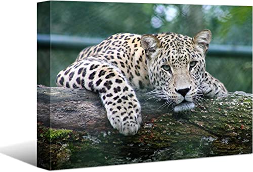 Laoife Animal Canvas Wall Art, Cheetah Picture Canvas Painting, Wildlife Digital Art, Colorful Ready To Hang For Living Room Bedroom Office Wall Decor Home Decor (16X12 Inches) #TOP16