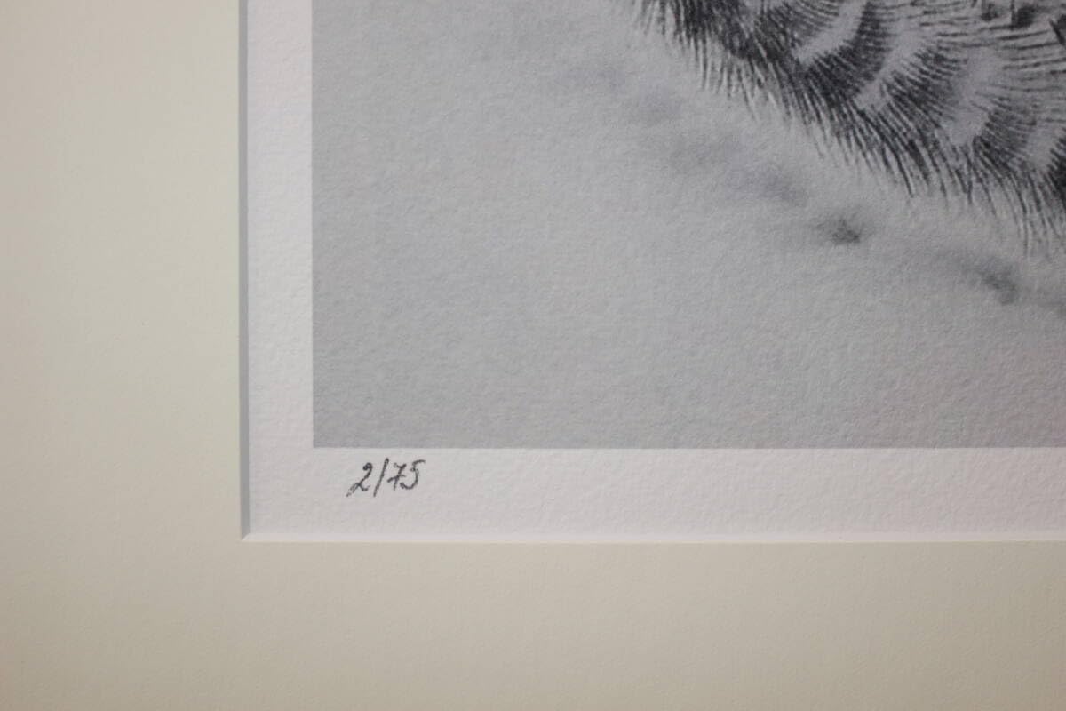 Amazon.co.jp: 藤田嗣治 エスタンプリトグラフ 猫の本より