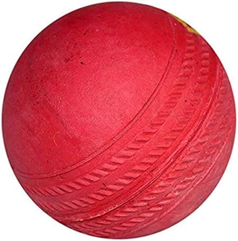 Fly Master Rubber Balls for Cricket (Multicolour) Pack of 10