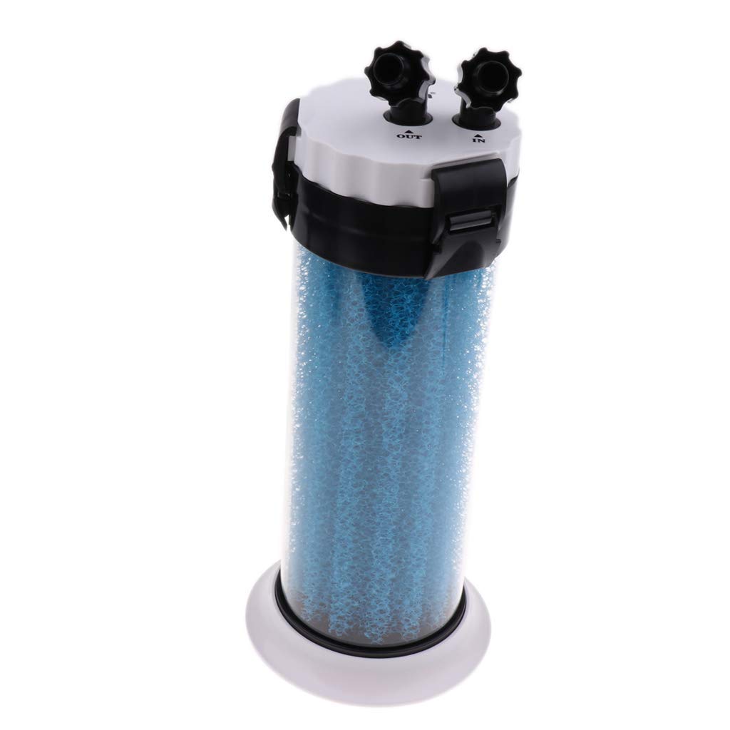 Préfiltre d'aquarium - Éponge externe - Outil de nettoyage pour terrarium et aquarium