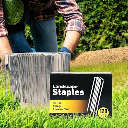 Reviews y listado de Niples Largos galvanizados jardín del mes. 6 Imagen adicional