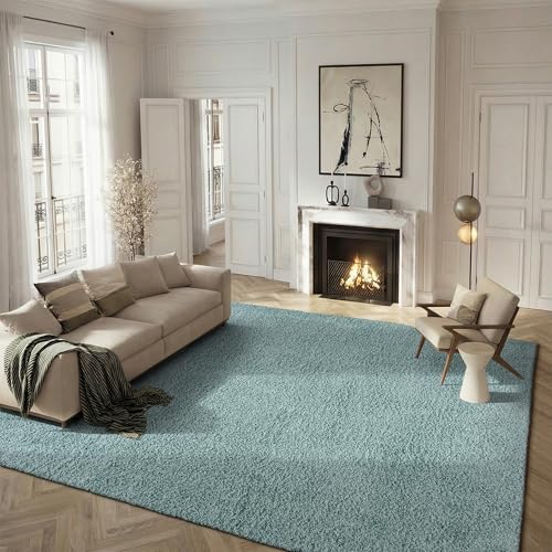 SAFAVIEH Area Rug 8x10 - Athens Shag Collection - Large - Seafoam, Non-Shedding & Easy to Clean, Ideal for Living Room, Bedroom, Dining Space (SGA119D)