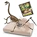 MUSCCCM Kit di scavi per Dinosauri Brachiosaurus, Kit di scavo fossili di Scheletro Dino Modello di Dinosauro Realistico Giocattoli educativi Regalo per Bambini Ragazzi Ragazze Regalo di Capodanno
