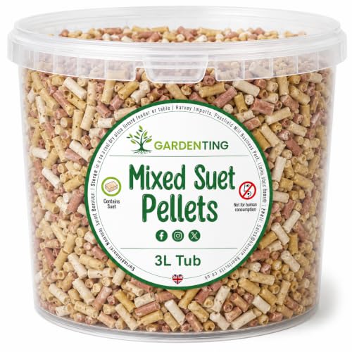 Garden Ting Mixed Suet Pellets for Wild Birds Food Berry Mealworm Insect 3L Tub