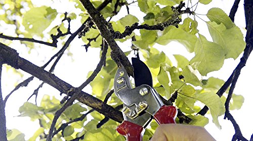 Berger Tools Anvil #1918 Pruning Shear, Red #TOP5
