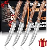 DRAGON RIOT Steak Knives Set of 4, Ultra Sharp Steak Knife Set Japanese VG-10 Stainless Steel Non Serrated Steak Knives Full Tang Wood Handle with Gift Box