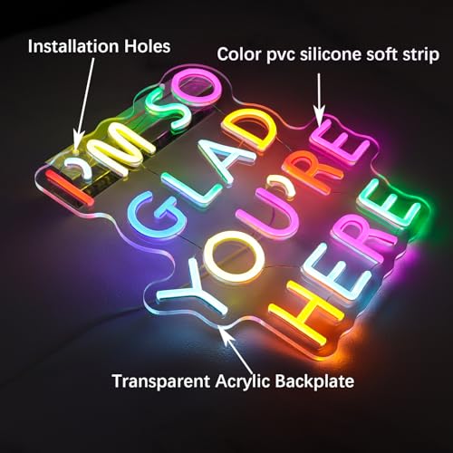 Image of I'm So Glad You're Here Neon Sign for Teachers - Dimmable Multicolor Letter LED Light with Wired Controller, Rainbow Glow Classroom Decor, 12.2x11.8 in, Includes 4 Wall Anchors & 2m USB Cable