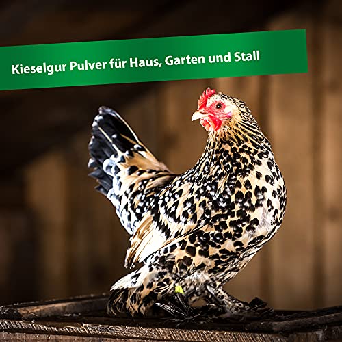 Röhnfried Kieselgur Pulver 600 g I bekämpft kriechende Insekten wie rote Vogelmilbe I Naturprodukt I Langzeitwirkung – Bild 4