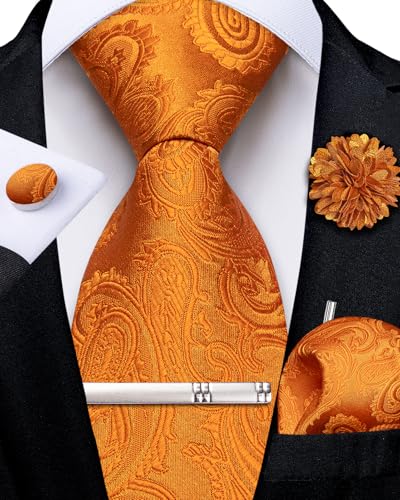 Image of DiBanGu Silk Zipper Ties for Men, Formal Pre-tied Necktie | Adjustable Tie,6PCS,Various Design Styles,Jacquard Woven,Skin-friendly,Practical Gift,Great for Wedding Party,Business Formal
