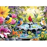 ZSYCZAO 500 Pieces Puzzle for Adults, Puzzles for Adults 500 Pieces, Spring Birds Floral Pond Nature Jigsaw Puzzle, Challenging Puzzle Perfect for Game Nights, 20.5 X 15 in