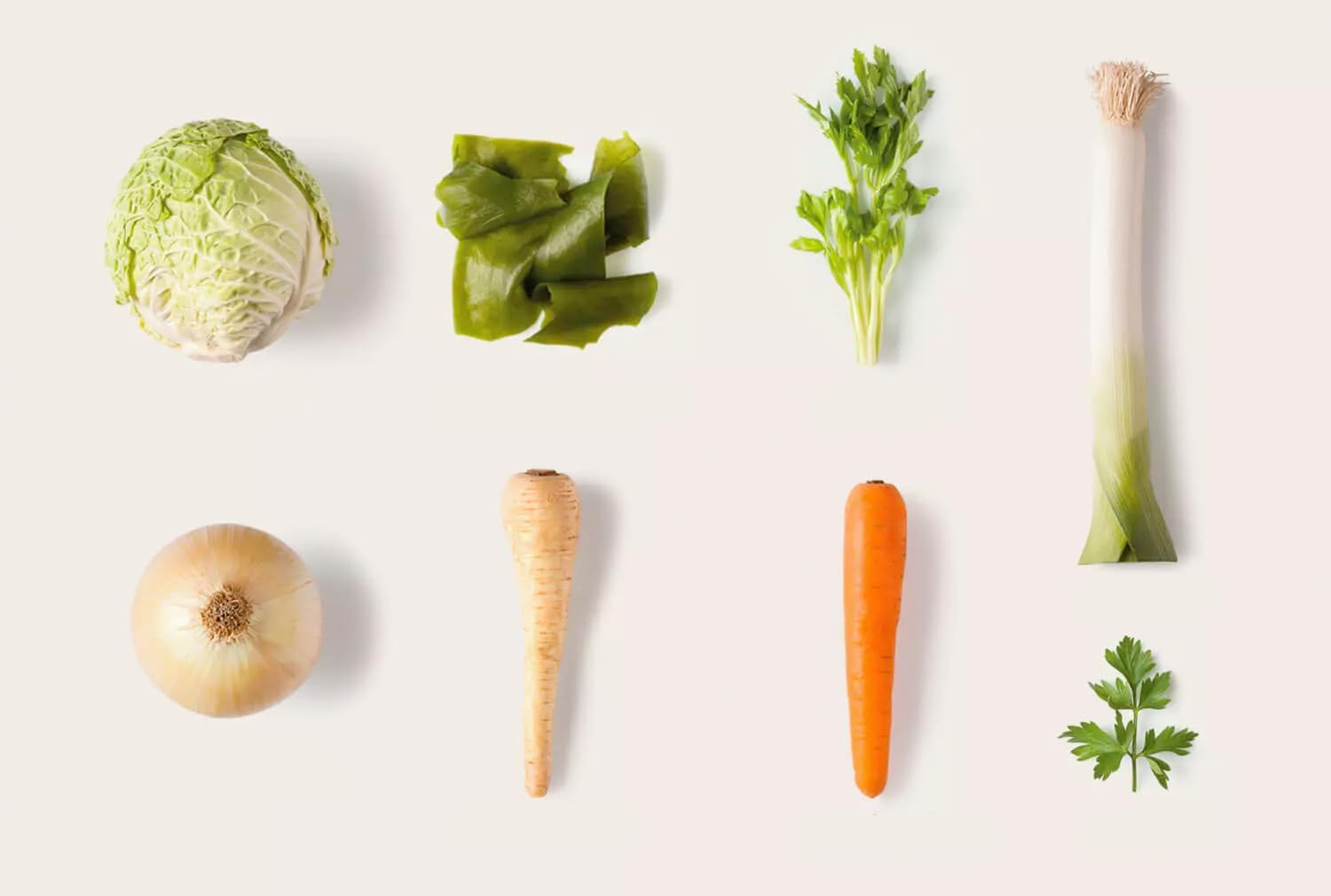 Trevijano Soupe Julienne de Mer: 6 barquettes de 100g chacune (600g de légumes déshydratés). Barquette: 8 portions de légumes: carotte, panais, poireau, algue wakame, oignon, chou,céleri et persil.