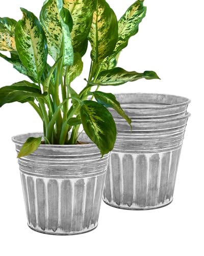 vensovo 11 Inches Silver Metal Rustic Plant Pots 3 Pcs Large Galvanized Planters with Drain Hole and Rubber Plug Rustproof Tin Bucket Flowerpot for Indoor Plants Farmhouse Vintage Style for Decor
