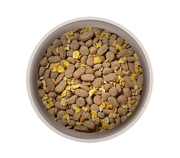 Primox Hunde-Trockenfutter 15kg | hergestellt in DE | Nhrstoffreich | Ohne  Zucker & andere Zustze | Fr Vitalitt & Gesundheit beim Hund (Huhn &  Gemse) : Amazon.de: Haustier
