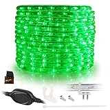 WYZworks 576LEDs 50ft LED Outside Rope Lights, Outdoor ETL Certified Waterproof Permanent 360 Degree Light Emitting, Flexible Tube, Connectable, Christmas Palm Tree Exterior Landscape, Green
