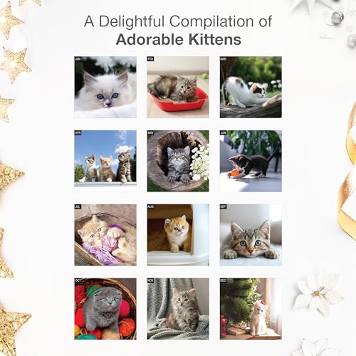 Calendrier 2026 chatons en papier épais robuste - 3