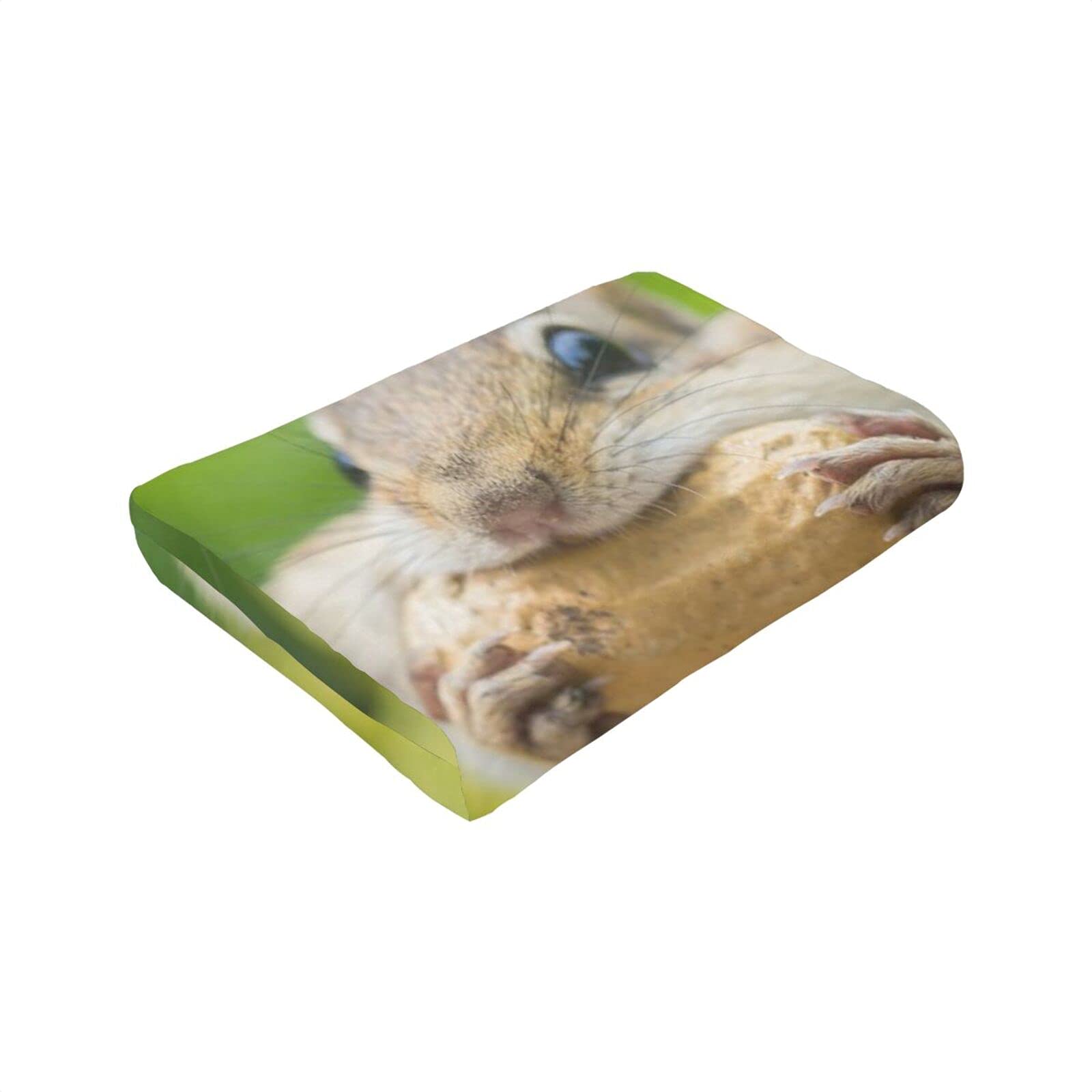 Anti-Pilling and Anti-Allergic Flannel-Super Soft Micro-Pile Blanket, Multi-Size Chipmunk is The Entrance of Stuffing Food