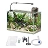Glass Fish Tank Kit, 5 Gallon Betta Fish Tank Aquarium Starter Kit with Filter, Lights, Lid, for Betta, Goldfish, Small Fish or shrimg，Clear
