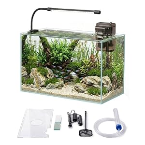 Glass Fish Tank Kit, 5 Gallon Betta Fish Tank Aquarium Starter Kit with Filter, Lights, Lid, for Betta, Goldfish, Small Fish or shrimg，Clear