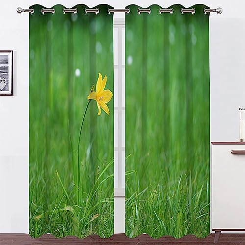 Tende Oscuranti per Interni Emerocallide Verde Tenda Da Sole per Esterno, Tenda Termica Isolante con Occhielli per Camera Da Letto Soggiorno 140x245cm(LxA) 2 Pezzi