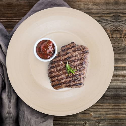 Image of 10inch /6pcs Dishwasher & Microwave Safe Wheat Straw Plates, Alternative for Plastic Plates, Lightweight Reusable Unbreakable Dinner Plates, Non-toxin, BPA Free for Kids Adults