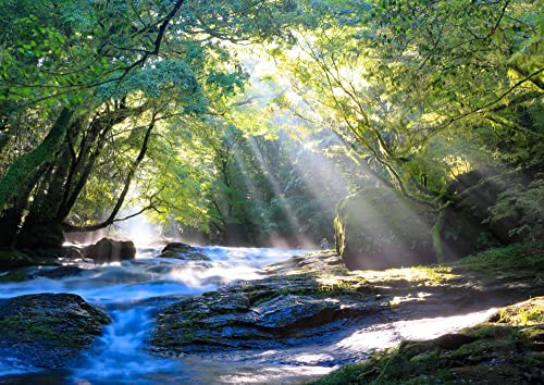 絵画風 壁紙ポスター (はがせるシール式) -地球の撮り方- 光のシャワーと美味しい水の水源、菊池渓谷の絶景 熊本県菊池市 日本の絶景 キャラクロ C-ZJP-021A1 (A1版 830mm×585mm) 建築用壁紙+耐候性塗料 <日本製> ウォールステ