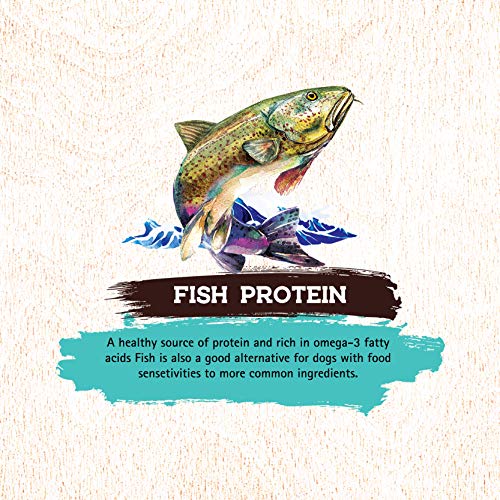 Inception® Dry Dog Food Fish Recipe – Complete and Balanced Dog Food – Legume Free Meat First Dry Dog Food – 4 lb. Bag (13278)