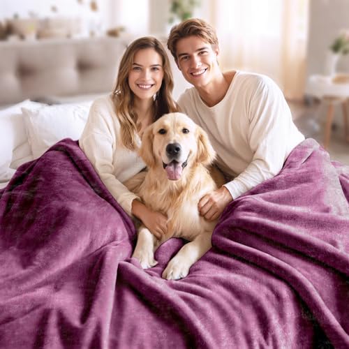 Image of JYK Fleece Plush Bed Blanket Queen Size 79'' x 91'' - Premium Silky Flannel Fleece Blanket 3.5 LB, Lightweight and Fluffy Cozy Plush Comfy Microfiber Fleece Blankets for Couch Sofa Bedroom, Purple