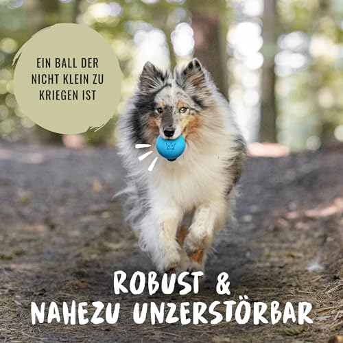 Rudelkönig Hundebälle aus Naturkautschuk - Zwei Bälle mit 6,5cm Ø - Nahezu unzerstörbarer Ball für Hunde