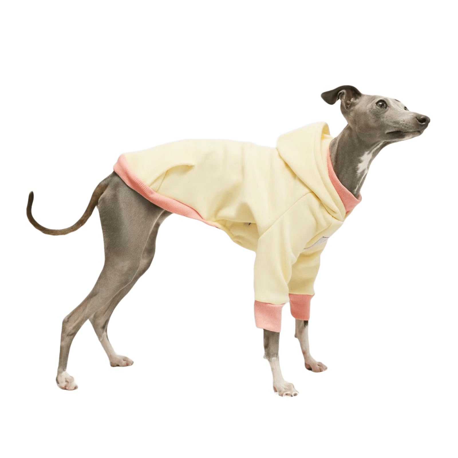 Levriero italiano Tutina Felpa con cappuccio Morbida giacca elastica Maniche lunghe a due gambe Camicia e completo Cappotto caldo Pigiama in pile adatto a tutte le stagioni