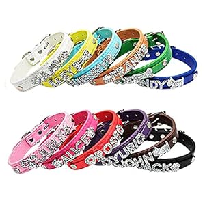 Hottest-Personalized-Charms-Name-Dog-Collar-for-Small-Medium-Large-Dogs-Custom-Bling-Rhinestone-Leather-Buldog-Dog-Collar-Pet-Cat-Collar Personalized Charms Name Dog Collar