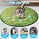 Adiwo Interaktives Katzenspielzeug Bälle, 2 In 1 Katzenmatte Katzenspielzeug USB Rechargeable Elektrisch Katzenball Simuliertes Interaktives Katzenball Jagd Katze Matte Spielzeug Katzenspielzeug
