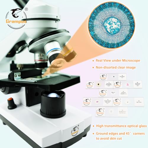 Image of 30 Prepared Microscope Slides with Specimens for Kids Students - Animal Microscope Slide Sets for Biological Lab, Children's Science Education, Homeschooling