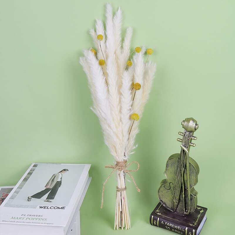 1 Set natürliches Pampasgras Dekor echte Pflanzen Dekoration getrocknete Blumen für Hochzeit Handwerk Phragmites Schwanz Gras