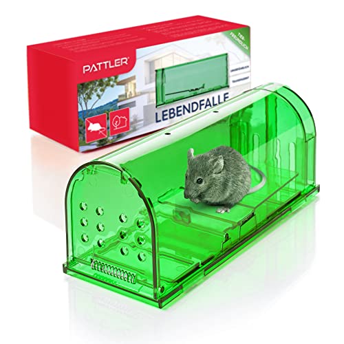 Faber-Castell Gomme Di Ricambio Per Matita Con Gomma - 4 Pezzi Da 2.5mm, Cancellazione Precisa Senza Sbavature - Foto 5