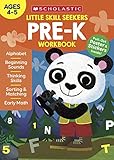 Little Skill Seekers: Pre-K Workbook