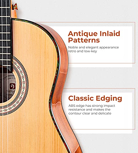 Image of Vangoa Classical Guitar, 39 inch Nylon String, Full Size Beginner Spanish Guitar With Spruce Top And Sapele Back, Bundle for Gig Bag, Pedal, Tuner, Strap, Capo, Spare Strings