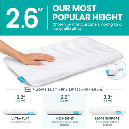 Image of BLISSBURY Thin 2.6 inch Stomach Sleeping Memory Foam Pillow. Slim, Flat, Cooling Sleep for Belly or Back with Soft Bamboo Washable Cover, Neck and Head Support for Men and Women Bedding Accessories