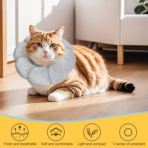 HMCEY Schutzkragen Katze,Halskrause Katzen Leckschutz,Einstellbarer Katzenkragen Nach Op,Schutzhalsband für Katzen,Hundekragen Weich,Halsband Wiederherstellung Schutzkegel für Nach Operation