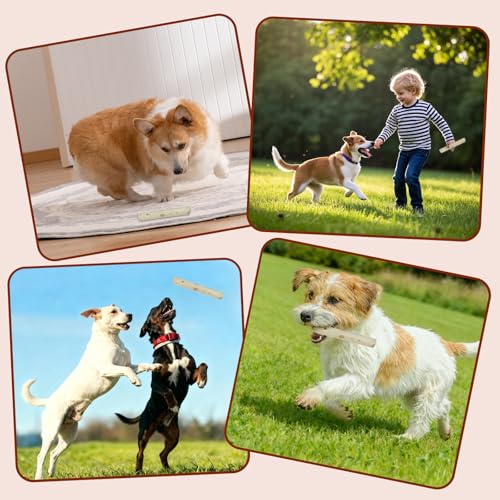 KLINNA 2 Stück Hunde Kaffeeholz Kauknochen | Holzknochen als Hundespielzeug für Natürliche Zahnpflege & Beschäftigung | Robustes Kauholz für Welpen und Kleine Hunde, Kaffeeholz für Kauholz