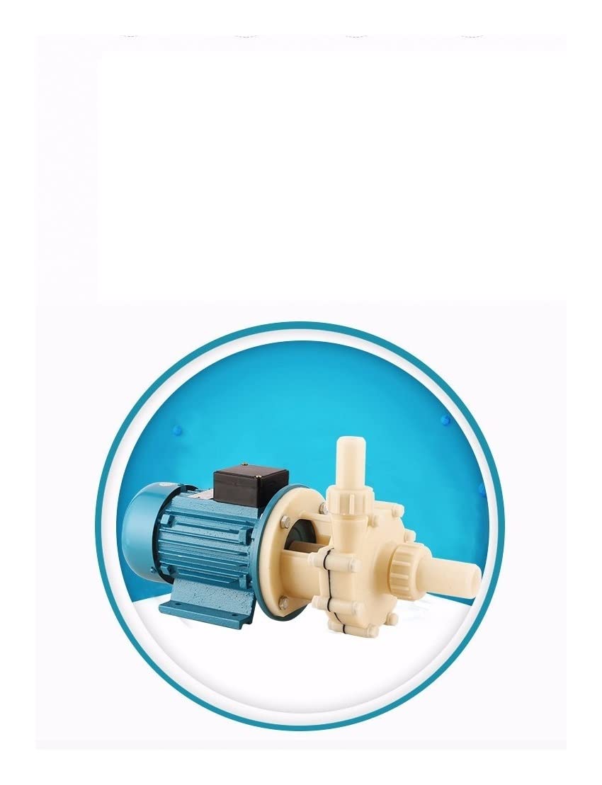 Mini Bomba pequeña Bomba de Agua de Alta presión de 8m3/h 750 W for la Industria (Voltage : 750W 220V)