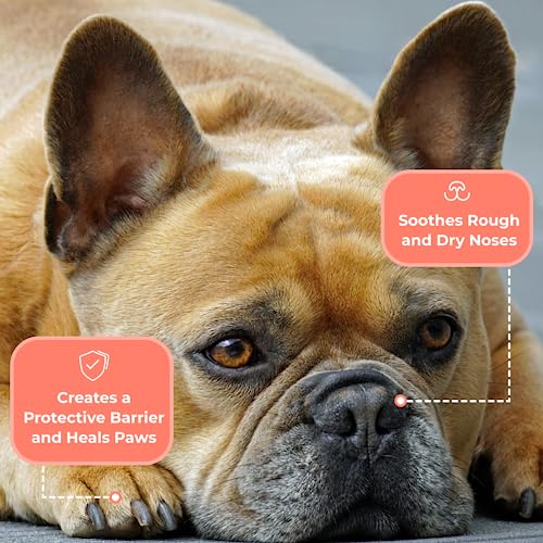 COAT DEFENSE Something Better Balm | Made in USA | Dog Nose Balm & Dog Paw Balm | Healing and Deeply Moisturizing Nose and Paw Balm Dogs Lick Safe – Paw Soother for Dogs & Dog Skin Soother (1.5 OZ) COAT DEFENSE Something Better Balm | Made in USA | Dog Nose Balm & Dog Paw Balm | Healing and Deeply Moisturizing Nose and Paw Balm Dogs Lick Safe – Paw Soother for Dogs & Dog Skin Soother (1.5 OZ)