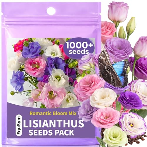 1000+ Lisianthus Seeds for Planting - Mixed Color Perennial Eustoma Grandiflorum Seeds for 2026 Wildflower Thornless Rose Flowers Seed for Planting Non-GMO Garden Indoor Blooms