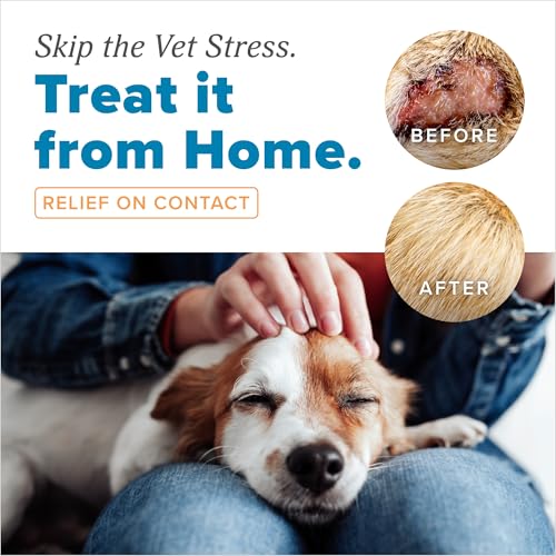 Image of TropiClean HomeVet Medicated Cream, Hot Spot Treatment for Dogs, 1oz