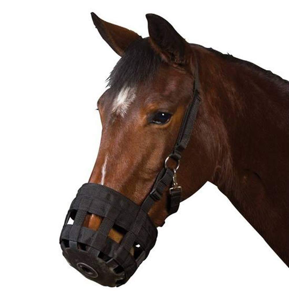 QOSOD Horse Grazing Muzzle with Halter for Horse Easy Breathe and Comfortable (Large Horse) (B07WZMXK7X) Amazon Price History, Amazon Price Tracker